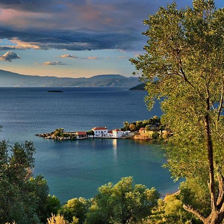 Villa Leonidas Greecefiloxenia レフォカストロ エクステリア 写真