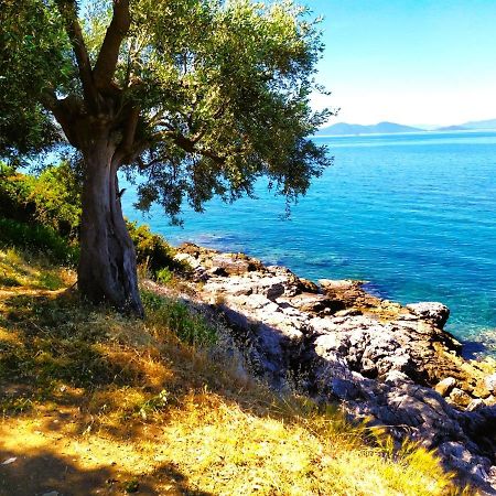 Villa Leonidas Greecefiloxenia レフォカストロ エクステリア 写真