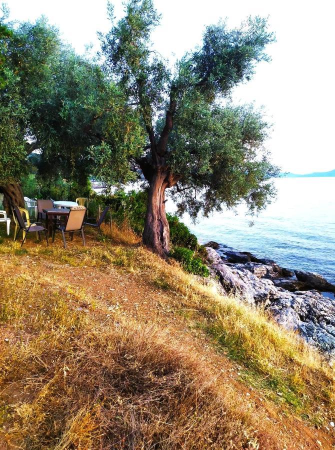 Villa Leonidas Greecefiloxenia レフォカストロ エクステリア 写真