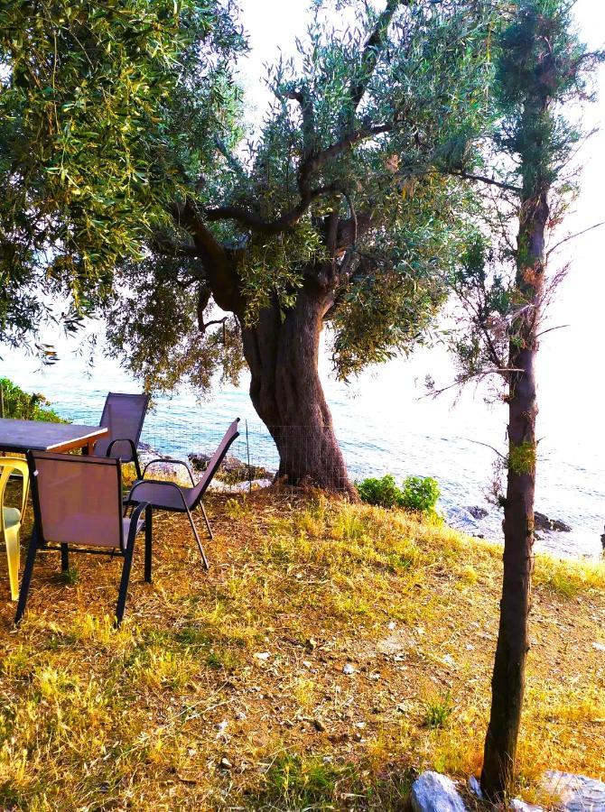 Villa Leonidas Greecefiloxenia レフォカストロ エクステリア 写真