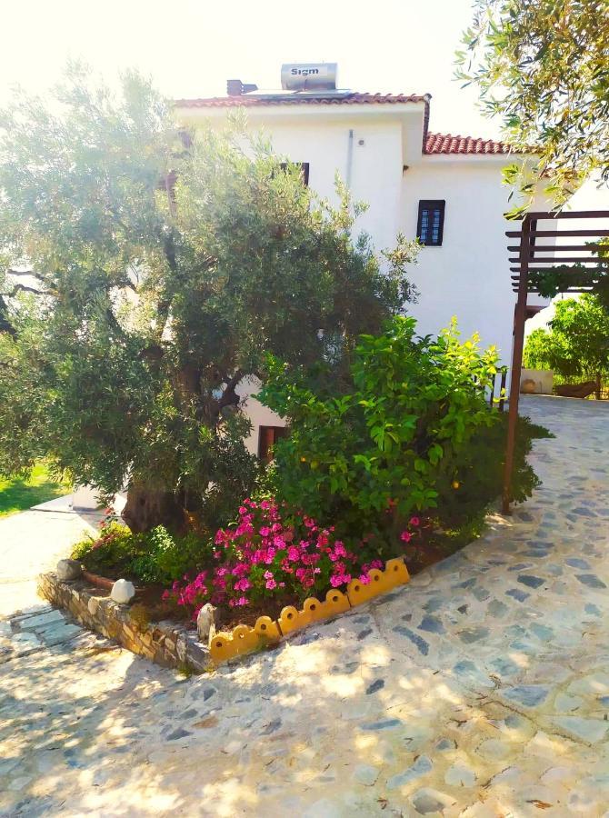 Villa Leonidas Greecefiloxenia レフォカストロ エクステリア 写真