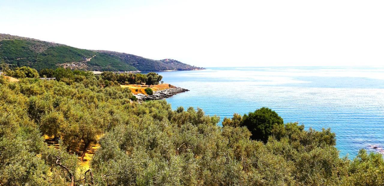 Villa Leonidas Greecefiloxenia レフォカストロ エクステリア 写真