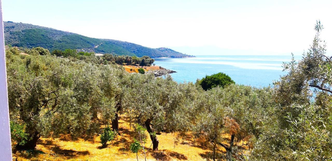Villa Leonidas Greecefiloxenia レフォカストロ エクステリア 写真