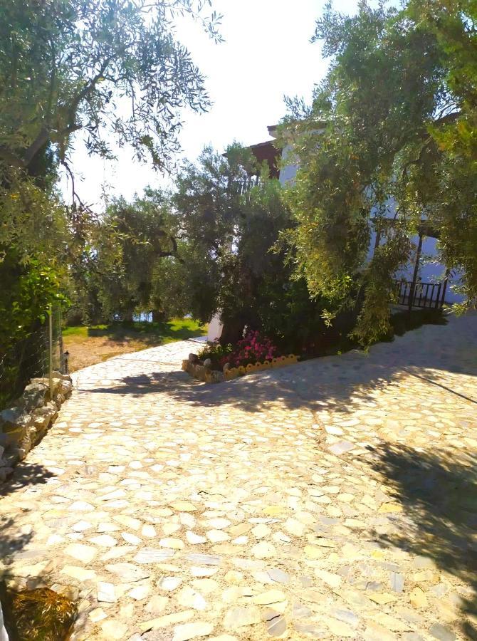 Villa Leonidas Greecefiloxenia レフォカストロ エクステリア 写真