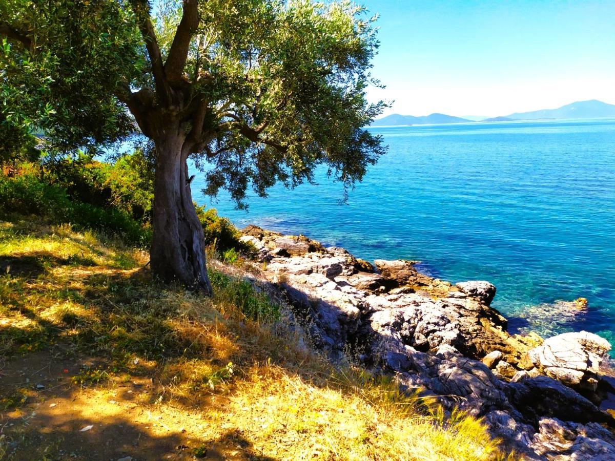 Villa Leonidas Greecefiloxenia レフォカストロ エクステリア 写真