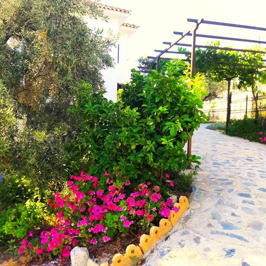 Villa Leonidas Greecefiloxenia レフォカストロ エクステリア 写真