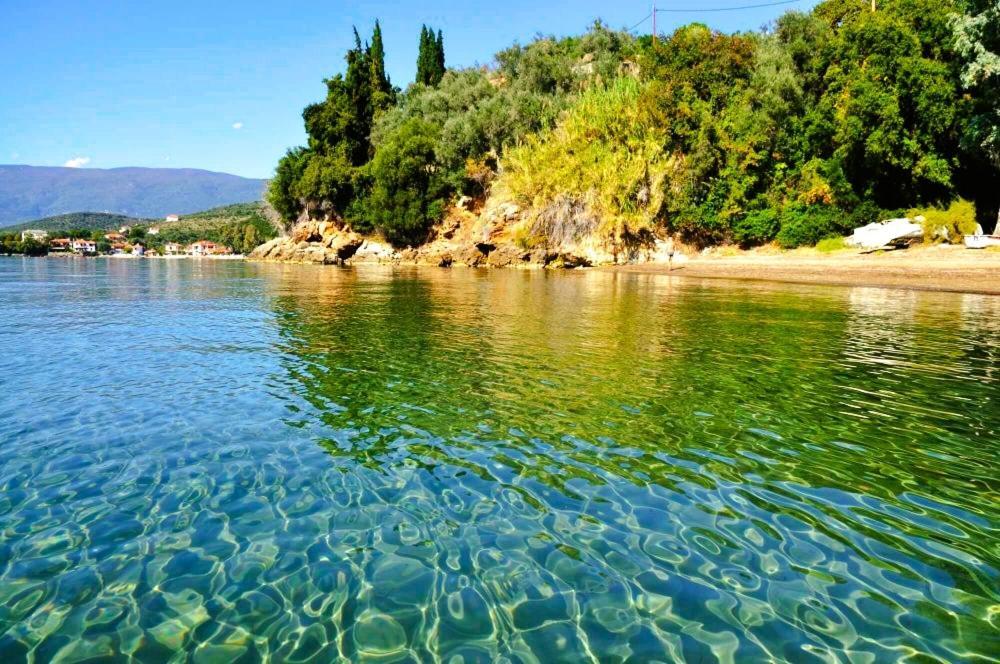 Villa Leonidas Greecefiloxenia レフォカストロ エクステリア 写真
