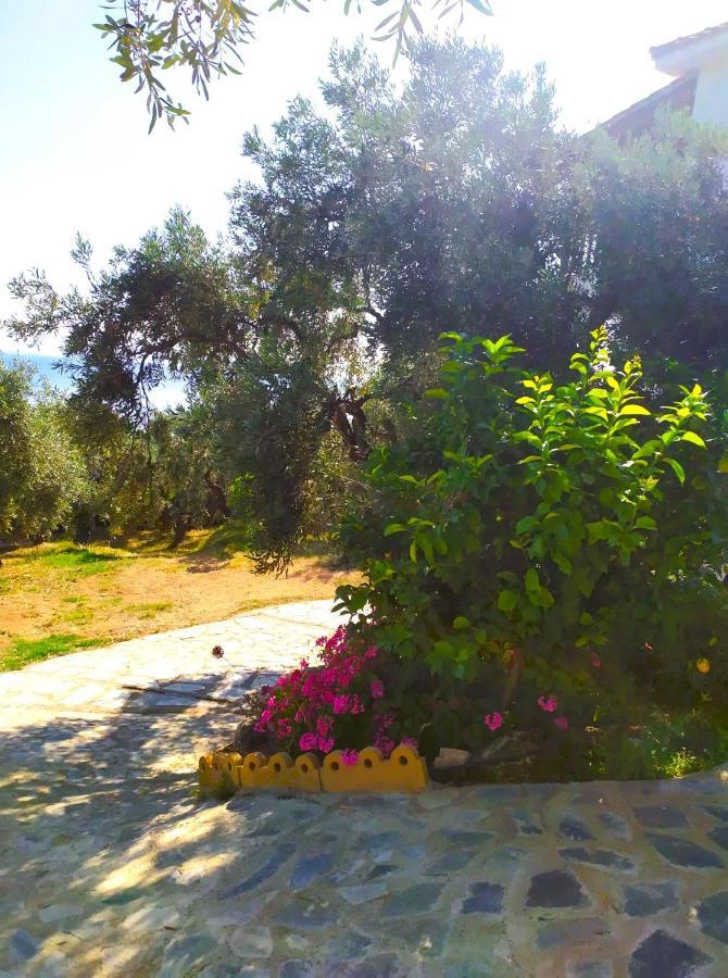 Villa Leonidas Greecefiloxenia レフォカストロ エクステリア 写真